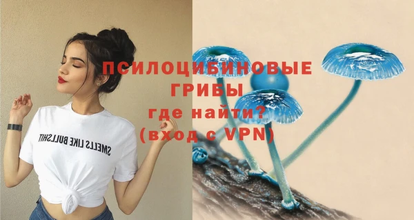 прущий лед Аркадак