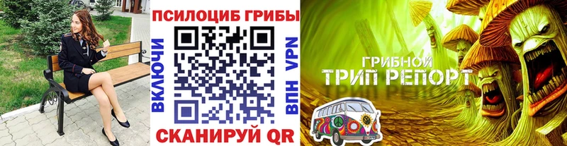 Псилоцибиновые грибы ЛСД магазин продажи наркотиков Чудово