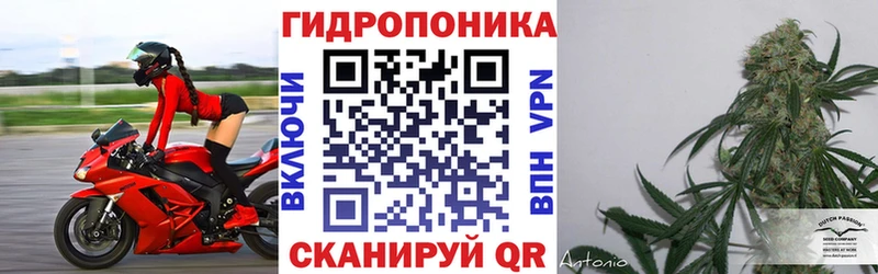 mega рабочий сайт Чудово Шишки марихуана ГИДРОПОН